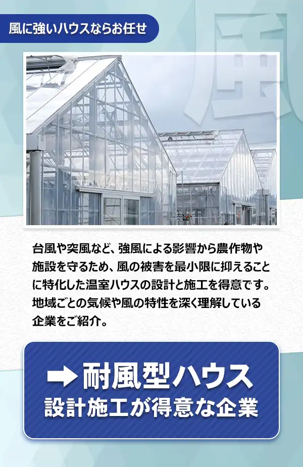 耐風型ハウス

台風や突風など、強風による影響から農作物や施設を守るため、風の被害を最小限に抑えることに特化した温室ハウスの設計と施工を得意です。地域ごとの気候や風の特性を深く理解している企業をご紹介。