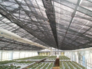 遮光ネット　ダイオネット