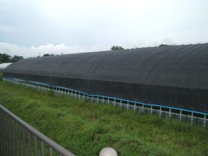 遮光ネット　ダイオシート